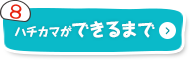 ハチカマができるまで