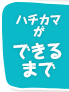 ハチカマができるまで