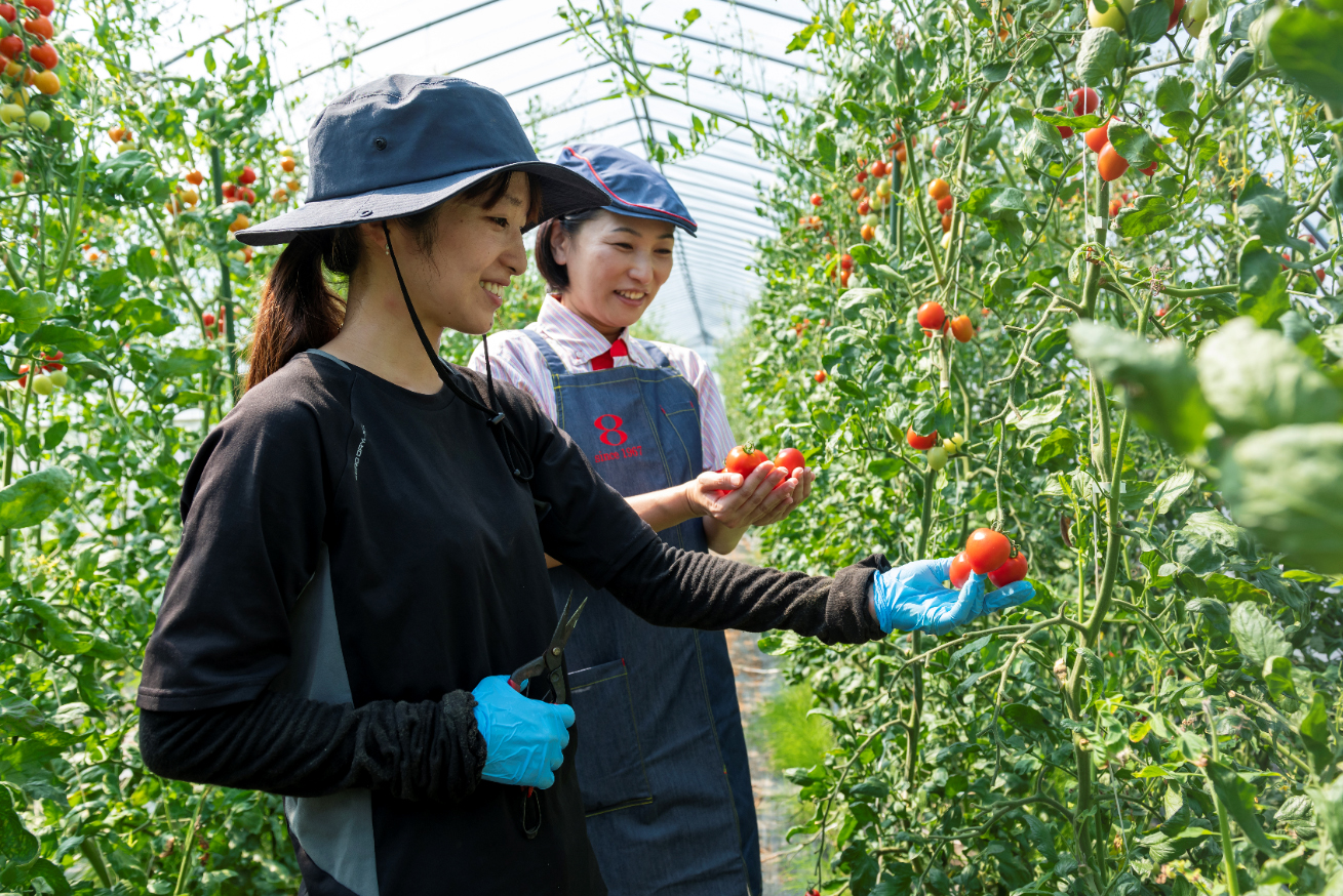 越のルビー生産者さんと